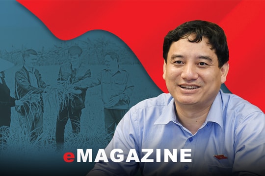 Nâng cao chất lượng cán bộ cơ sở đáp ứng yêu cầu trong giai đoạn mới