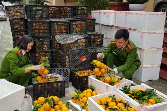 Phát hiện gần 2 tấn hoa quả không rõ nguồn gốc xuất xứ ở Nghệ An