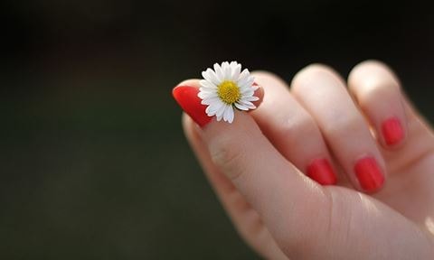 Bí quyết giữ da tay luôn đẹp mịn màng trong mùa đông