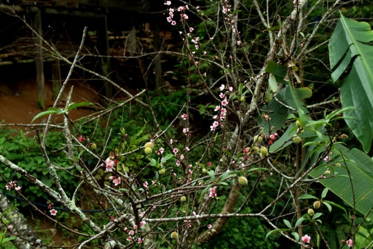 Thời tiết 21/1: Cảnh báo mưa lớn ở Bắc Bộ và Trung Trung Bộ