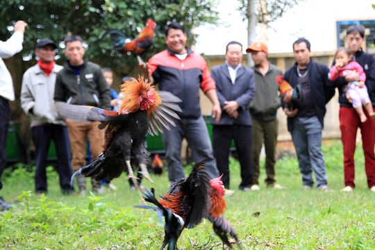 Tết sớm cho bà con người Mông và Khơ mú 
