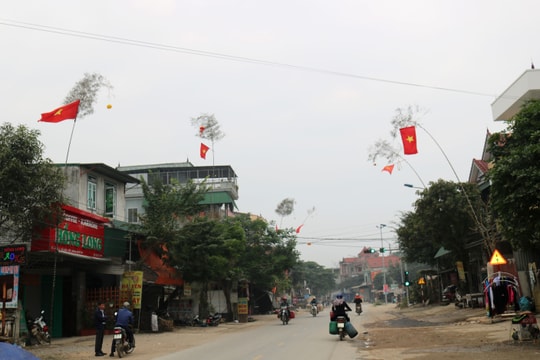 Nghệ An: Các làng quê tưng bừng dựng cây nêu đón Tết