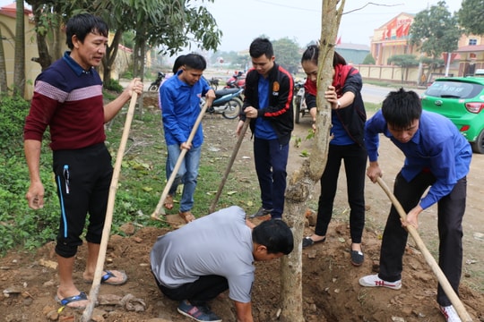 Huyện đoàn Đô Lương trồng 30 cây hoa ban “Đời đời nhớ ơn Bác Hồ”