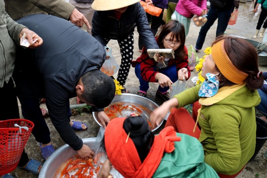 Tết Ông Táo, chợ quê cá chép “lên ngôi”
