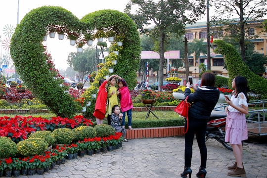 Cuốn hút những đường hoa rực rỡ đón Tết ở thành Vinh