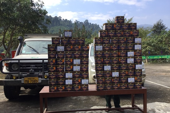 Bắt giữ 2 đối tượng vận chuyển 120 kg pháo nổ tại biên giới