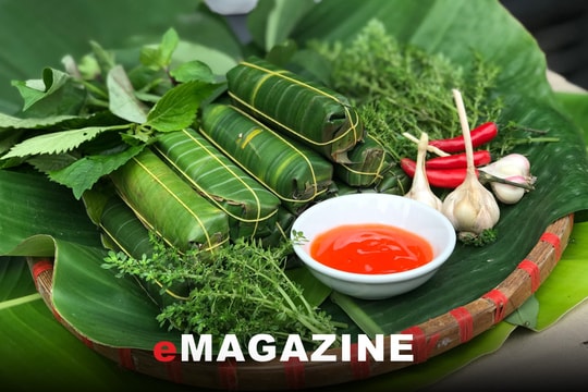 Khám phá công nghệ hiện đại sản xuất đặc sản truyền thống tại Nghệ An