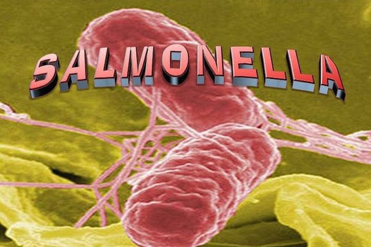 12 sản phẩm dinh dưỡng công thức nhiễm khuẩn Salmonella Poona nhập khẩu về Việt Nam