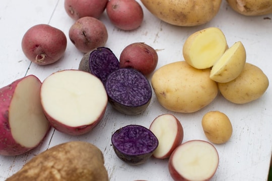 8 thực phẩm phổ biến trong ngày Tết có thể gây ngộ độc