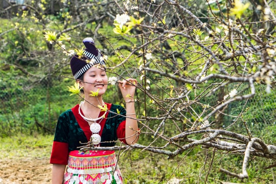 Xuân về trong những màu áo váy sặc sỡ của người Mông