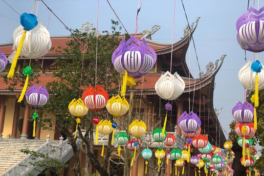 Rực rỡ cảnh sắc đón Tết Nguyên đán tại chùa Cổ Am