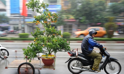 Những nghề “hái” ra tiền nhờ Tết