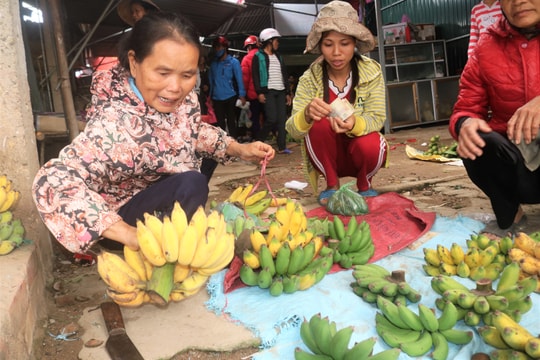 Đi chợ quê Nghệ phiên tận Tết