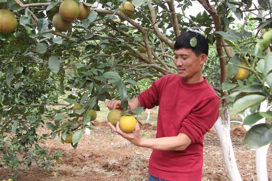 Sáng lại cuộc đời