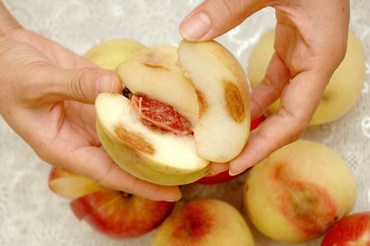 6 thực phẩm âm thầm 'nuôi sống' tế bào ung thư bạn chớ chủ quan