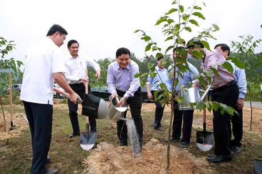 Nghệ An phát động “Tết trồng cây đời đời nhớ ơn Bác Hồ” Xuân Kỷ Hợi 2019