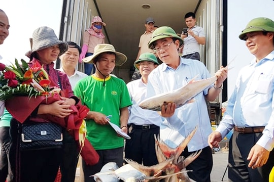 Ngư dân trúng mẻ cá bè vàng hơn 6 tỷ đồng