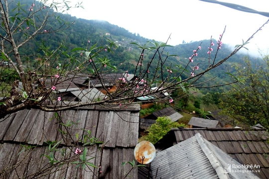 Thời tiết 12/2: Trung bộ có mưa vài nơi, đêm giảm nhiệt