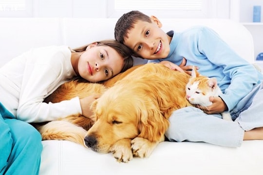 8 căn bệnh nguy hiểm dễ bị lây từ vật nuôi