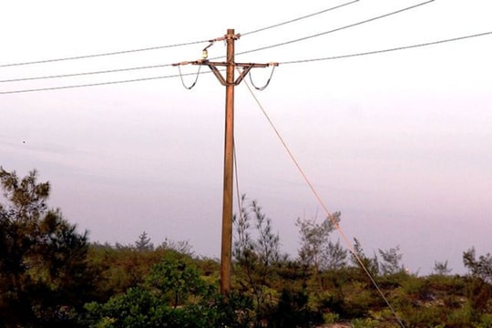 Trèo lên trụ điện bắt chim, người đàn ông bị điện giật tử vong