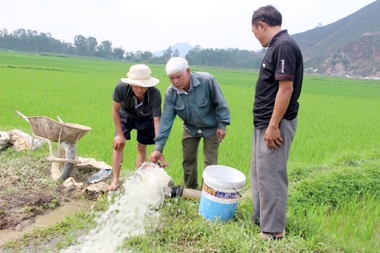 Hạn đầu vụ, nhà nông Nghệ An đã phải bơm “vét” nước cứu lúa