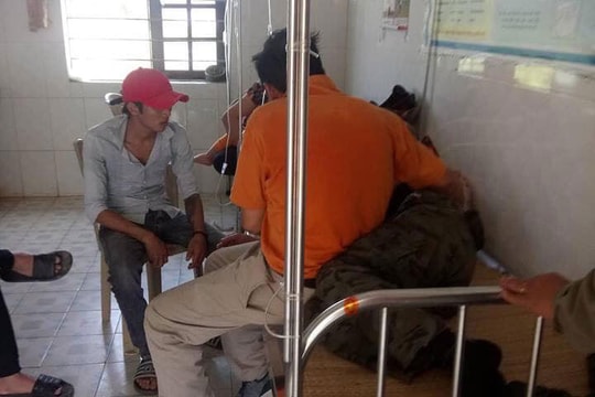 Nhiều người đi tảo mộ ở Nghệ An bị ong rừng tấn công phải cấp cứu