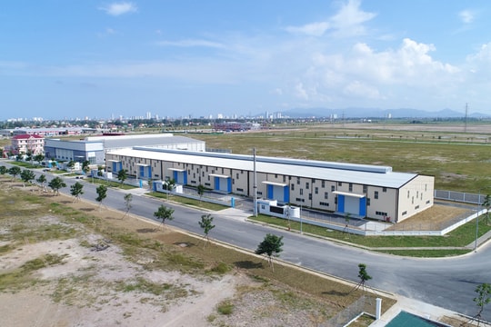 Hướng tới hội nghị Gặp mặt các nhà đầu tư Xuân Kỷ Hợi 2019: