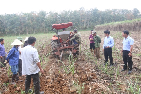 Công ty CP mía đường Sông Con: Đẩy mạnh ứng dụng cơ giới vào trồng, chăm sóc mía