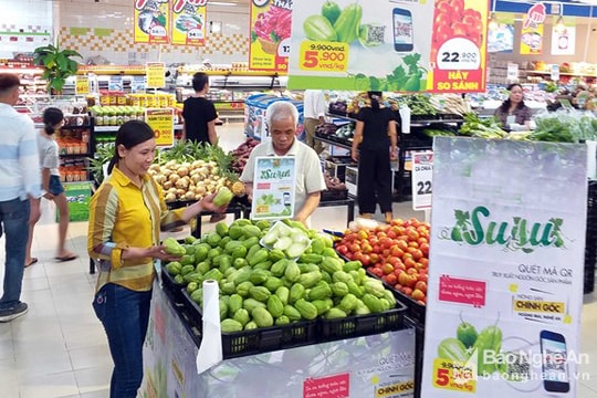 Su su Hoàng Mai Nghệ An chính thức vào siêu thị