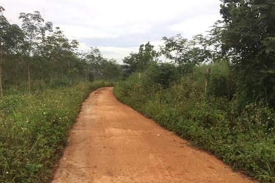 Trưởng phòng TN-MT cấp đất công trái phép cho vợ chủ tịch huyện