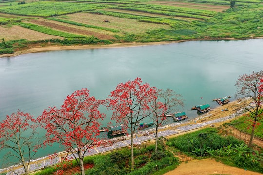 Xao xuyến mùa hoa gạo ven sông Lam