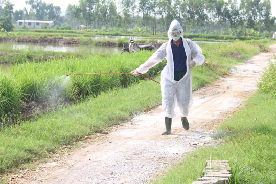 Các địa phương tiếp giáp Thanh Hóa tích cực phòng dịch tả lợn châu Phi