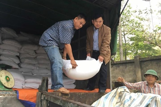 Phân bổ hàng trăm tấn gạo cho học sinh nghèo vùng đặc biệt khó khăn