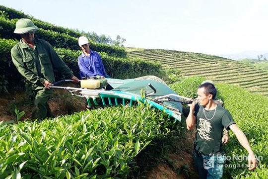 Nghệ An: Nhiều giáo dân tự nguyện tham gia vào Ủy ban Mặt trận Tổ quốc huyện 