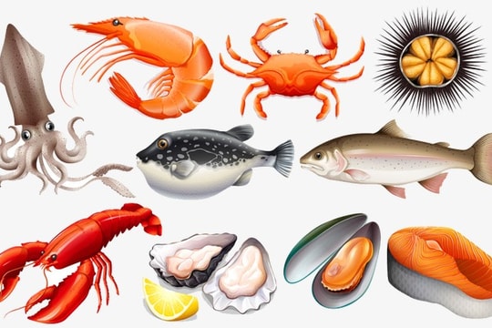 Những bộ phận hải sản có thể chứa độc tố bạn không nên ăn