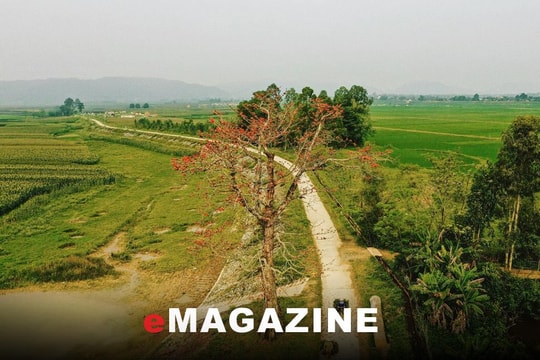 Dịu dàng tháng Ba