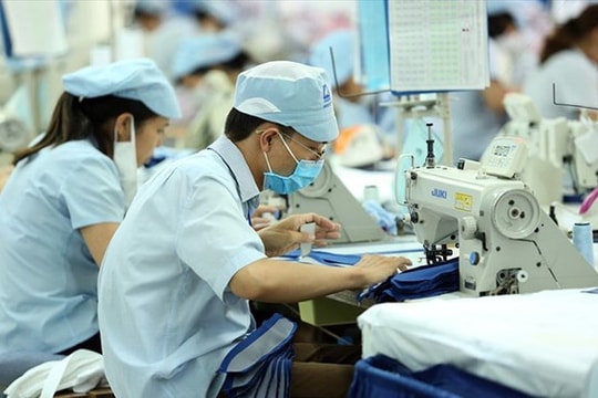 Lĩnh BHXH một lần hay nghỉ hưu sớm đều thiệt thòi