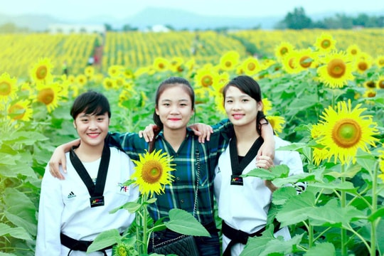 Những bóng hồng nổi bật nhất trong làng võ thuật Nghệ An 