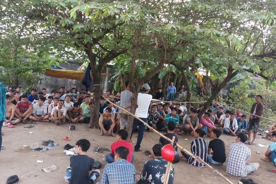 Trường gà công khai hoạt động ở địa bàn giáp ranh, Bí thư xã “kêu cứu”