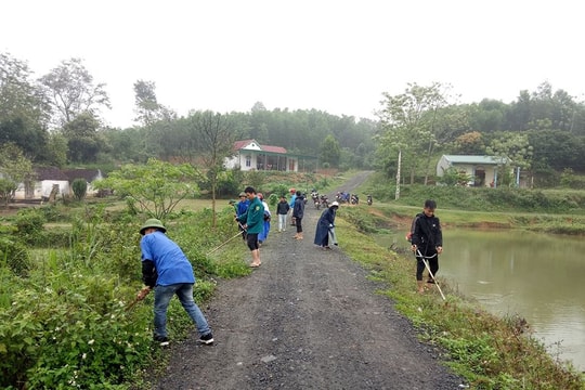Đoàn viên thanh niên toàn tỉnh ra quân hưởng ứng “Ngày Chủ nhật xanh”