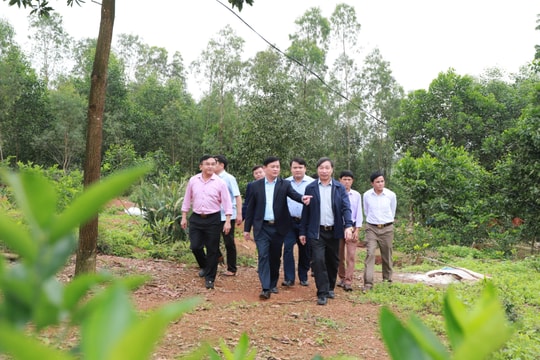 Phát triển Đô Lương với tầm nhìn trung tâm vùng