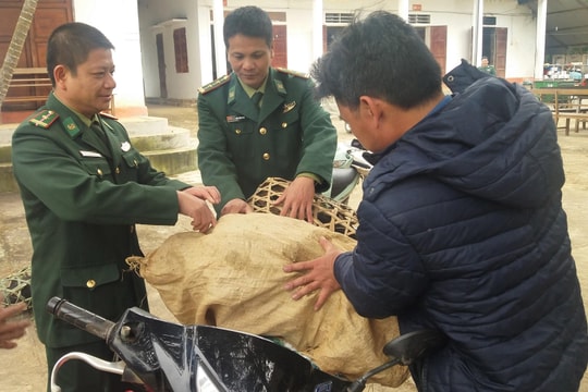 BĐBP trao lợn giống cho các hộ nghèo khu vực biên giới