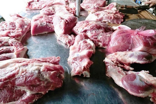 Nhận diện thịt nhiễm tả lợn châu Phi