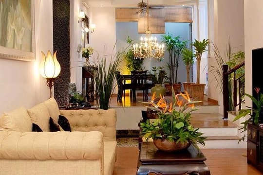 Cận cảnh căn nhà mặt tiền giá trị của danh hài Thúy Nga