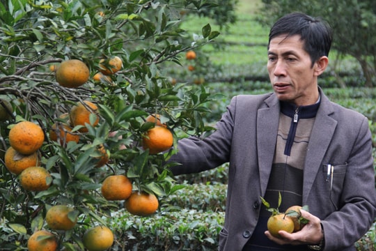 Những "người vác tù và" - nhân tố giữ bình yên thôn xóm