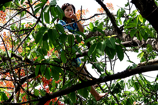 Dấu hiệu nhận biết người nghiện ma túy đá