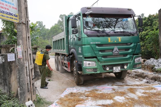 Công bố dịch tả lợn châu Phi tại Quỳnh Lưu (Nghệ An)