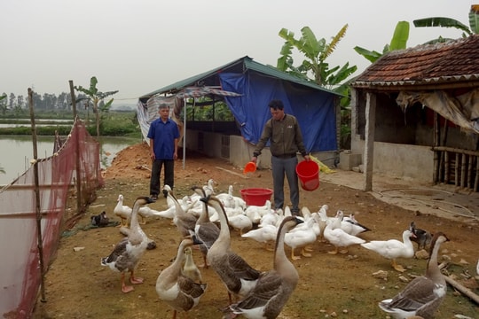 Sắc mới Dạ Sơn