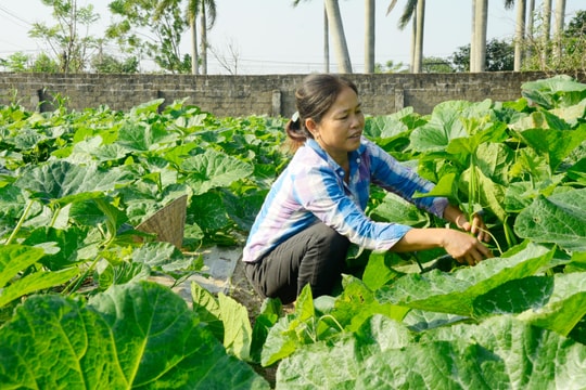 Cần huy động nguồn lực gây quỹ hỗ trợ nông dân  ​