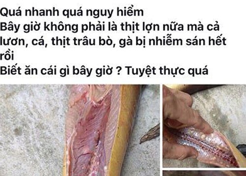 Cô giáo bị nhắc nhở vì đưa tin thất thiệt thịt gà, thịt bò nhiễm sán
